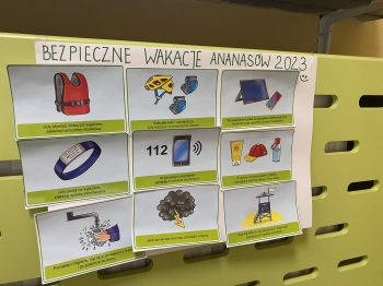 bezpiecne wakacje ananasy